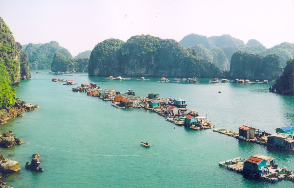 Bạn có thể thuê thuyền kayak ở khu vực này